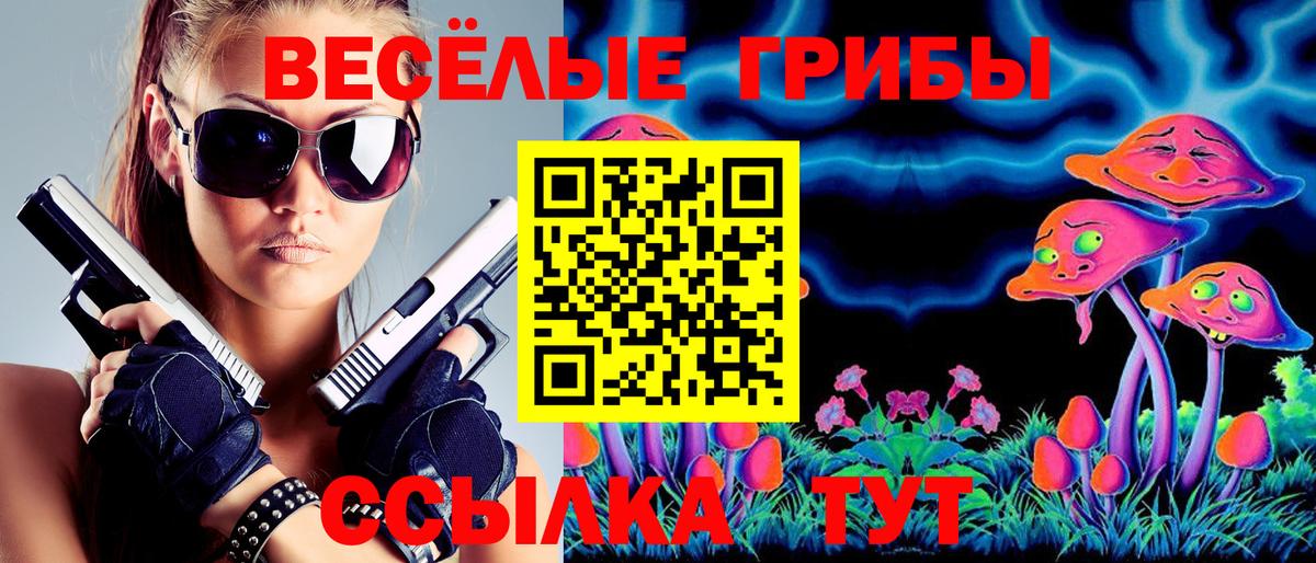 Псилоцибиновые грибы GOLDEN TEACHER Химки